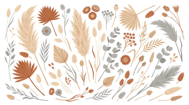 Bohemian dried flowers and pampas grass arrangement boho style decorative elements for naturalistic design and crafting