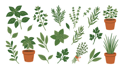 Obraz premium Collection of fresh garden herbs in pots and as loose sprigs, illustrating healthy cooking and natural ingredients for culinary use