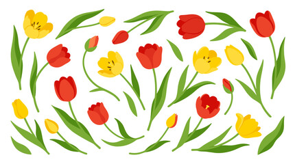 Obraz premium Vibrant Red and Yellow Tulips with Green Leaves Scattered Across a White Background Spring Floral Elements for Design