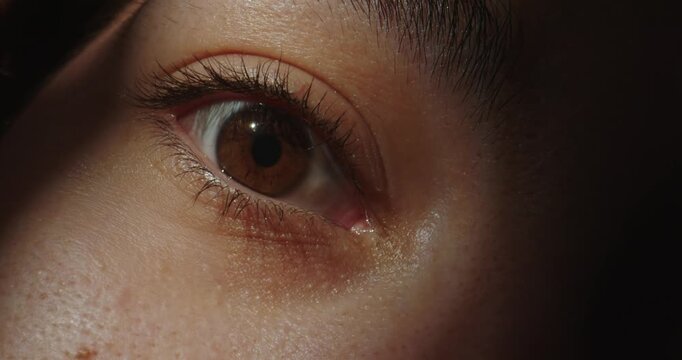 A detailed close up of a brown women eye gazing upward. Concept of optics and vision, eye health, the beauty and media industries, medical dermatology and a natural, eco friendly lifestyle.