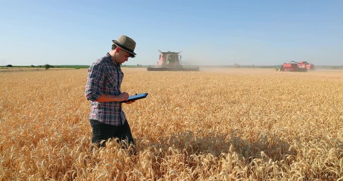 Young farmer agronomist controls the wheat harvest on a digital tablet, with two combine harvesters reaping wheat in the background - close up, slow motion. Sunny summer day.