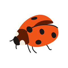 Obraz premium Cute spring insect. Vector red spotted ladybug beetle element. Nature illustration for stickers, scrapbooking and nursery decor