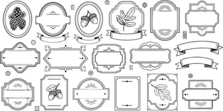 Vintage botanical labels and frames collection flat vector illustration engraved style badges with leaves berries and decorative ribbons set