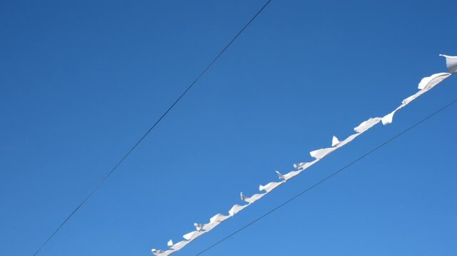 Flags blowing in the wind under a blue sky