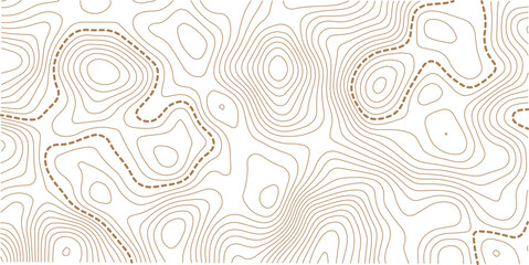 Fototapeta premium Vector banner. Topographic map ,abstract height lines on white background ,vector. Topography background. 