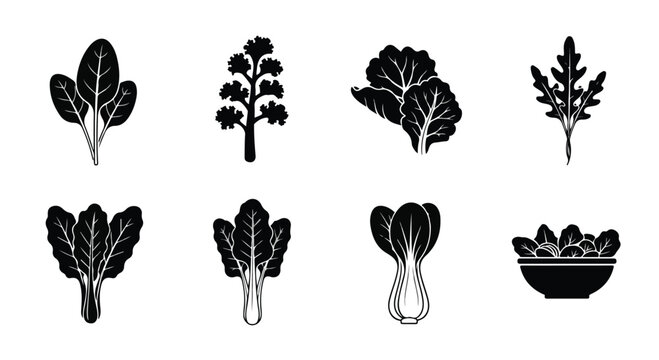 Leafy green vegetables icon set, black silhouette salad leaves collection, 8 organic vector elements including spinach, kale, and bok choy