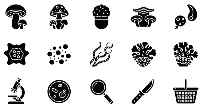 Collection of black silhouette icons related to fungi microbiology and collection tools
