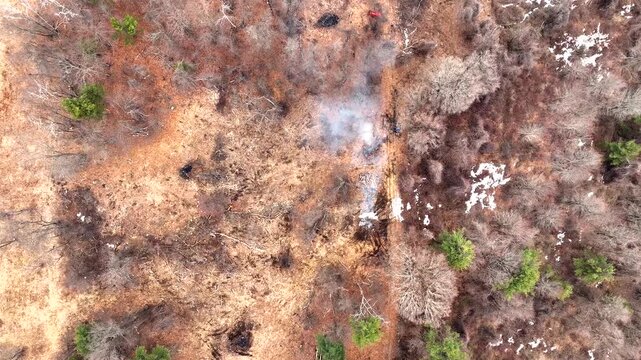 Smoke Rising From Small Fire In Forest, Surrounded By Leafless Trees And Patches Of Snow In Winter. vertical drone shot
