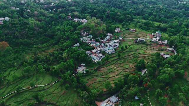 cinematic view of peaceful village surrounded by lush green hills and dense forest