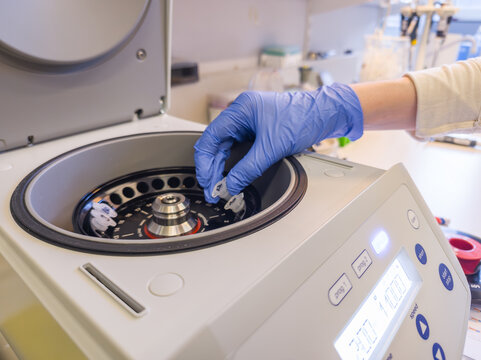 18 March 2026, Brussels, Belgium. Laboratory technician loading Eppendorf tubes into centrifuge during sample preparation