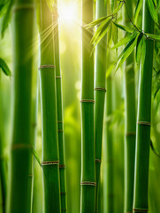 Fototapeta premium Sunlight streaming through vibrant green bamboo stalks with fresh leaves in a serene forest creating a peaceful and natural atmosphere for relaxation and growth