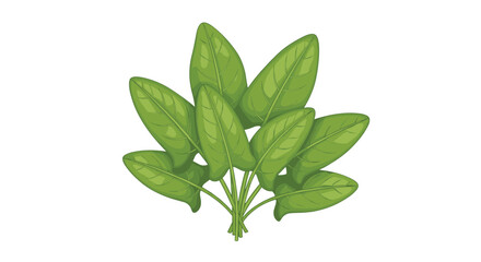 Fototapeta premium Fresh bunch of sorrel leaves, depicting their characteristic oval, pointed shape and vibrant green color, symbolizing a tart, flavorful herb for culinary use.