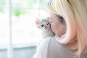 Female owner hand hold cute tabby kitten with love and care inside house.
