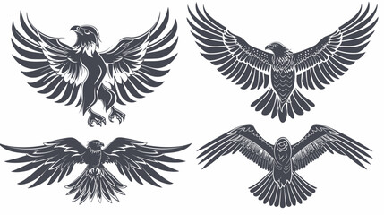 Obraz premium Four stylized bird illustrations with spread wings, in various flight poses. Monochrome design