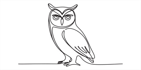 Obraz premium owl drawing, black and white illustration, bird