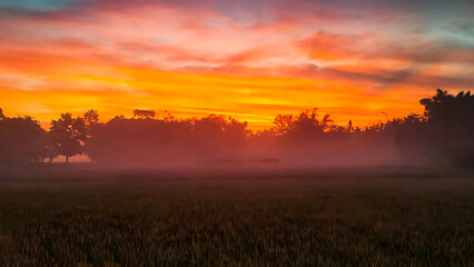 Obraz premium Dramatic Golden Sunrise Over Misty Countryside Landscape with Silhouetted Trees – Peaceful Nature Scene with Fog, Warm Sky Colors, and Serene Rural Field Background