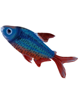 Watercolor small blue tropical fish with red fins isolated