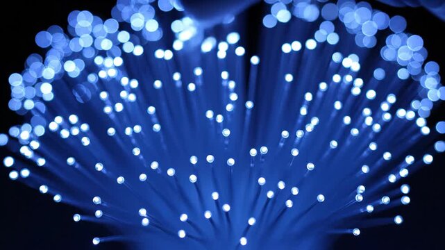 Close-up of Fiber Optic Cables Emitting Blue Light in a Dark Environment.