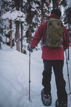 Rear view of male hiker walking on trail in winter forest