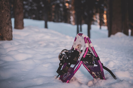 Pair of snowshoes in snow