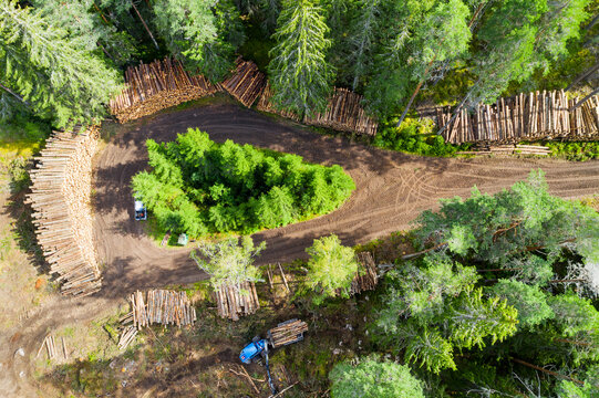 Aerial view of woodpile stacked in lumberyard
