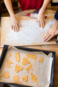 High angle view of family members making different type of gingerbread cookies in home