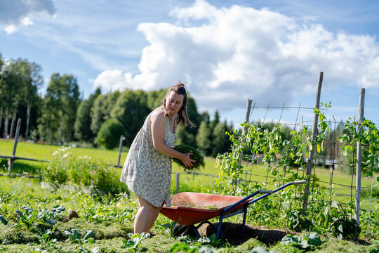 Mature woman holding silage grass while standing near wheelbarrow in garden