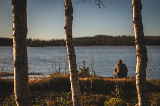 Unrecognizable person sitting near sea seen between three trunks of birch trees