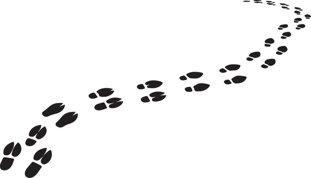 Animal footprints trail on white background in a curve
