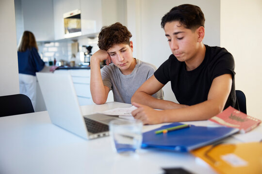 Brothers studying together at home