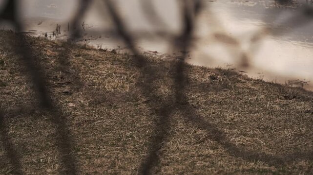 枯れた草原を流れる川を背景に枯れ枝のシルエット