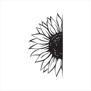  Sunflower monogram template, half sunflower, hand drawn vector illustration
