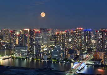 晴海の高層ビル群 © masyok