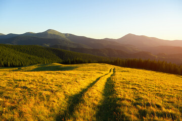 Naklejka premium Amazing scene in summer mountains with rural road on lush green grassy meadows glowing by fantastic evening sunlight. Landscape photography