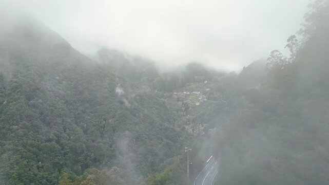 Portugal, Madeira, Ribeiro Frio. A heavy veil of mist descends upon the iconic Ribeiro Frio valley, where the winding ER103 road cuts through the heart of the island's pristine Laurisilva forest.