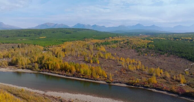 North Fork Flathead River flowing along colorful autumn forest in northwest Montana near Polebridge, aerial drone tracking left