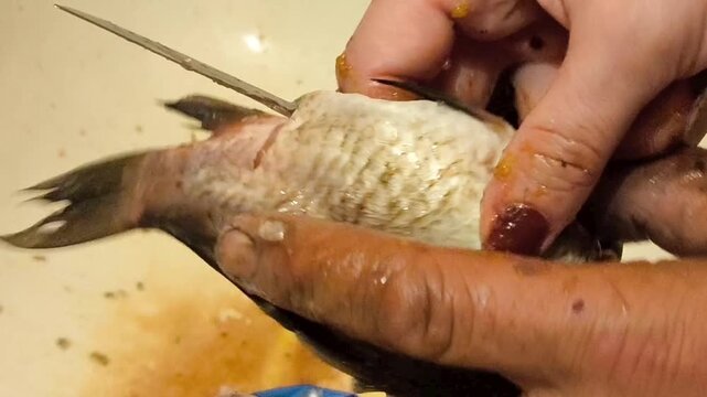 The hand takes the caviar out of the crucian carp. The process of cooking fish caviar. Offal in fish