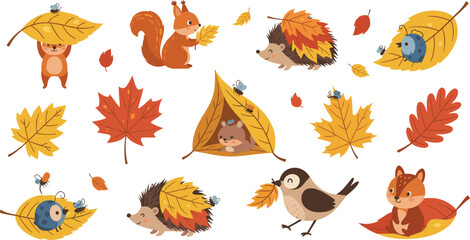 Autumn woodland animals and leaves collection with squirrel, hedgehog, fox and birds, cozy fall nature vector illustration set for seasonal design © MstMukta