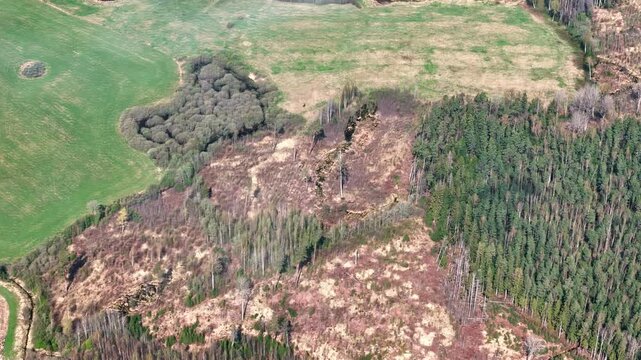Aerial view of deforestation segment, huge forest logging in Latvia