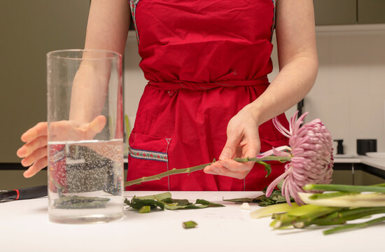 Florist preparing glass vase with water for fresh cut flowers. Hands placing stem into container during arrangement process. Concept of floral care and preparation..