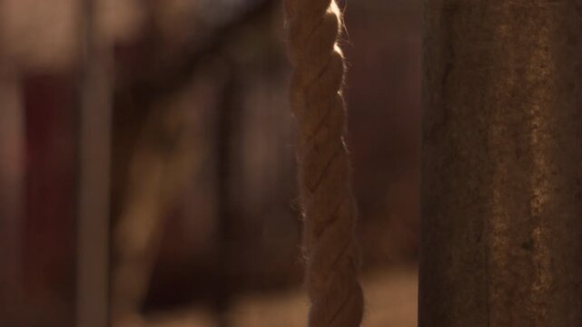 Close-up shot moving upward along a thick braided rope swaying in the wind near a steel pole. Natural light, shallow depth of field with blurred background, early spring outdoor atmosphere.
