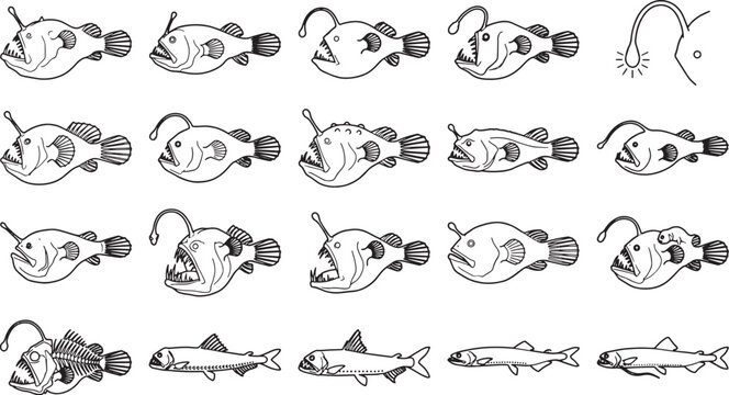 A detailed illustration of an Anglerfish and its prey is depicted in a monochromatic grayscale. The artwork provides a glimpse into the mysterious and unique world of the deep sea. 