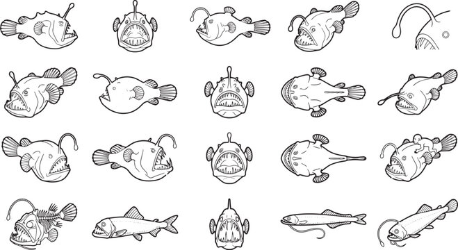 A collection of illustrated anglerfish showcasing unique appearance in various perspectives.