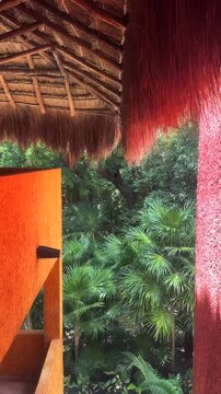 View of Tropical Foliage from Under a Thatched Roof