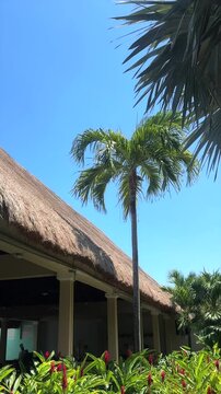 Sunny Tropical Resort with Palm Tree and Thatched Roof