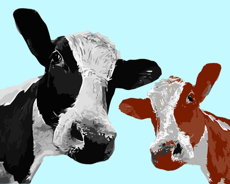 Two cows with grass and a ladybug that the cow is looking at. A brown cow and a black cow