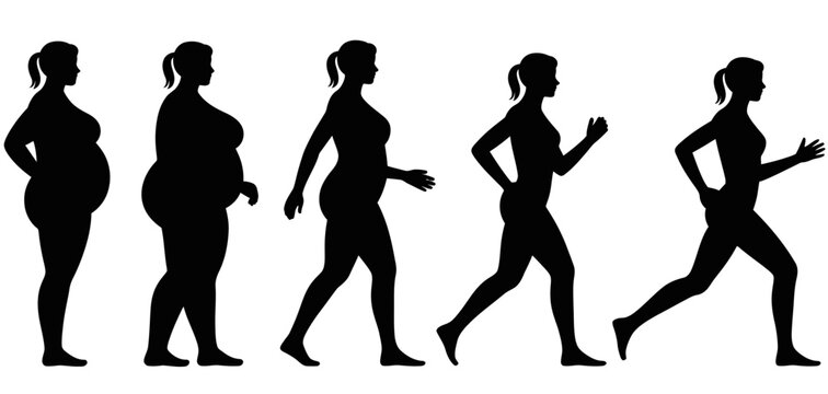 Human Evolution Silhouette Sequence from Ape to Modern Walking Man Vector Illustration
