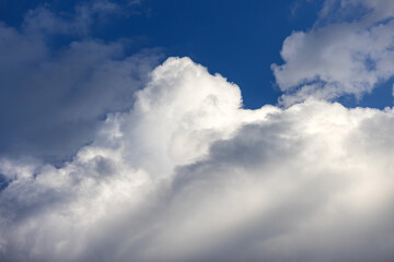 Obraz premium Large white fluffy storm clouds building in a bright blue sky captured on a sunny afternoon.