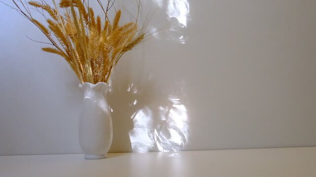 Vase with dried flowers and shadow of the dragonfly on background casting shadows . Minimal modern interior decoration concept. Autumn wabi sabi style aesthetics