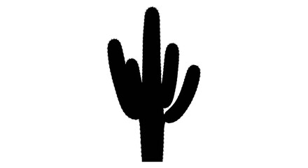 Fototapeta premium A black silhouette of a cactus plant